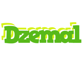 Dzemal picnic logo