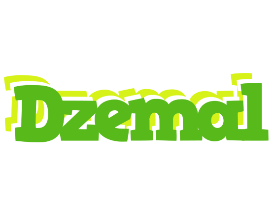 Dzemal picnic logo
