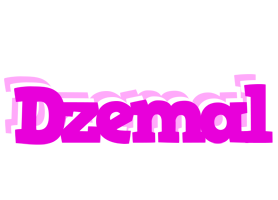 Dzemal rumba logo