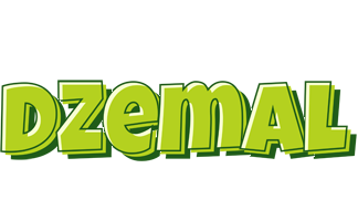 Dzemal summer logo