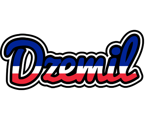 Dzemil france logo
