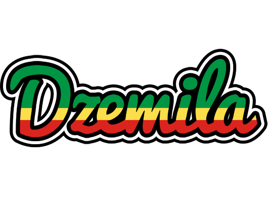 Dzemila african logo