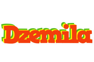 Dzemila bbq logo