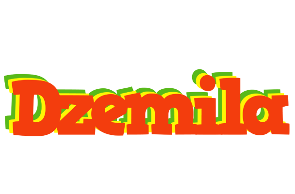 Dzemila bbq logo