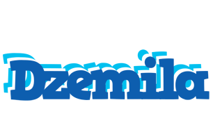 Dzemila business logo