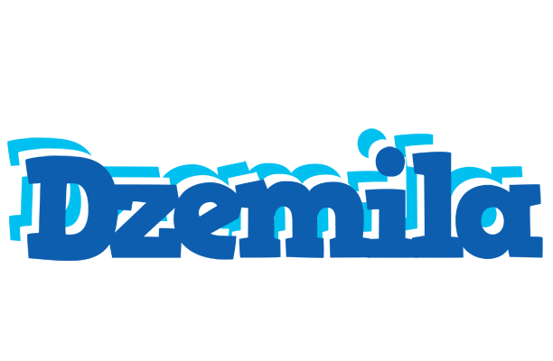 Dzemila business logo