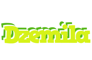Dzemila citrus logo