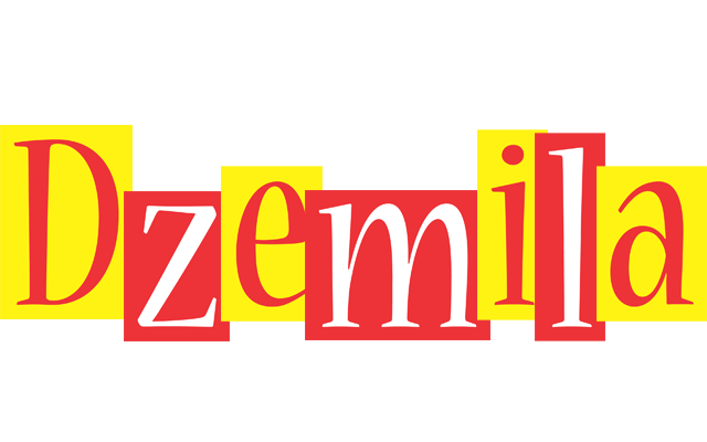 Dzemila errors logo