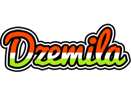 Dzemila exotic logo