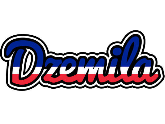 Dzemila france logo