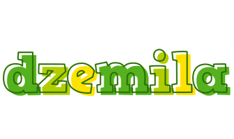 Dzemila juice logo