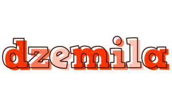 Dzemila paint logo