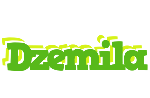 Dzemila picnic logo
