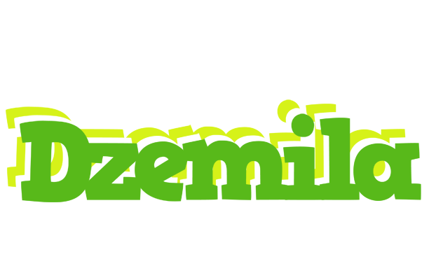 Dzemila picnic logo
