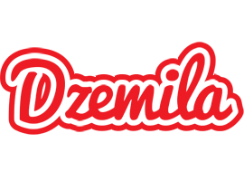 Dzemila sunshine logo