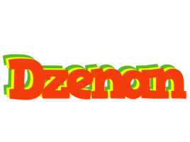 Dzenan bbq logo