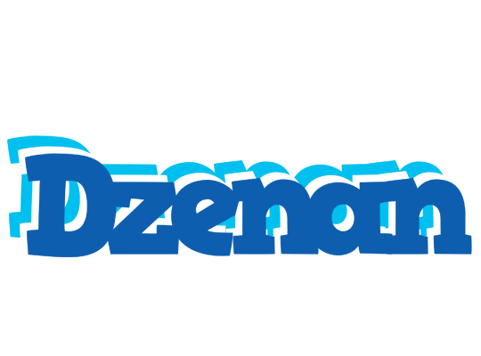 Dzenan business logo