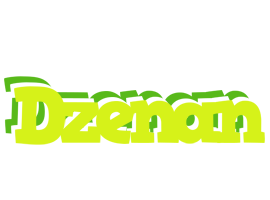 Dzenan citrus logo