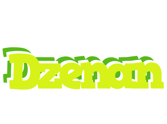 Dzenan citrus logo