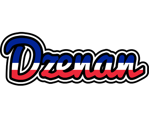 Dzenan france logo