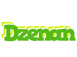 Dzenan picnic logo