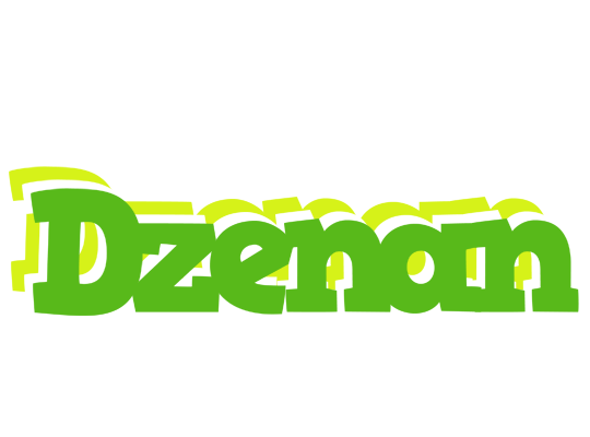 Dzenan picnic logo