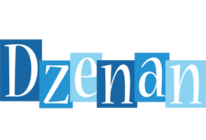 Dzenan winter logo