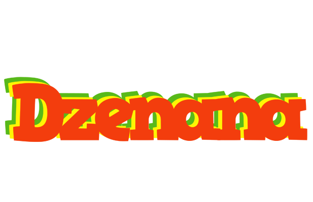 Dzenana bbq logo
