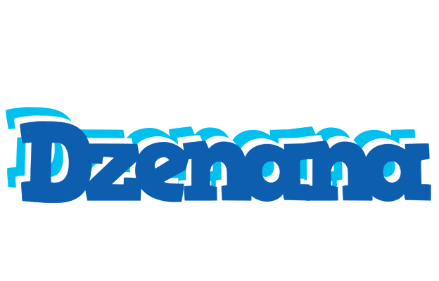 Dzenana business logo