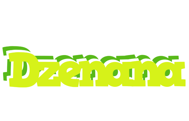Dzenana citrus logo