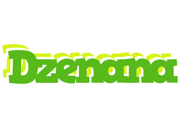 Dzenana picnic logo