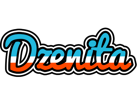 Dzenita america logo