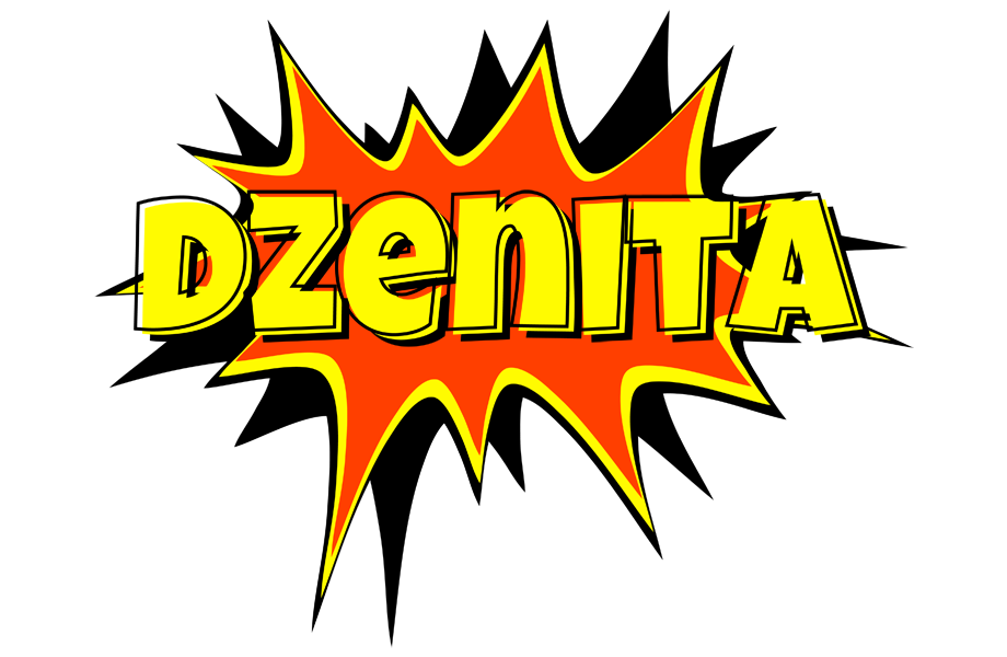 Dzenita bazinga logo
