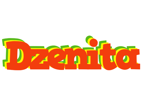 Dzenita bbq logo