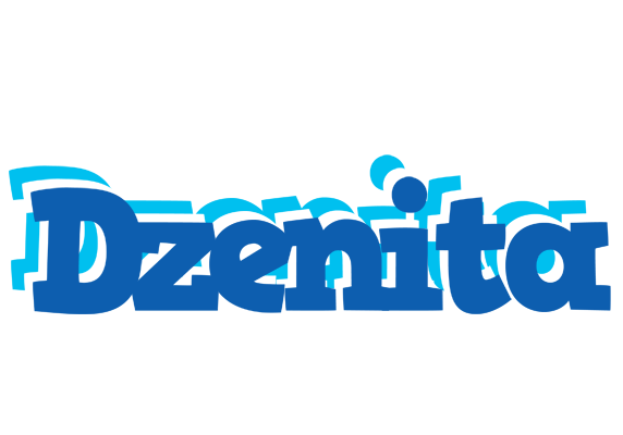 Dzenita business logo