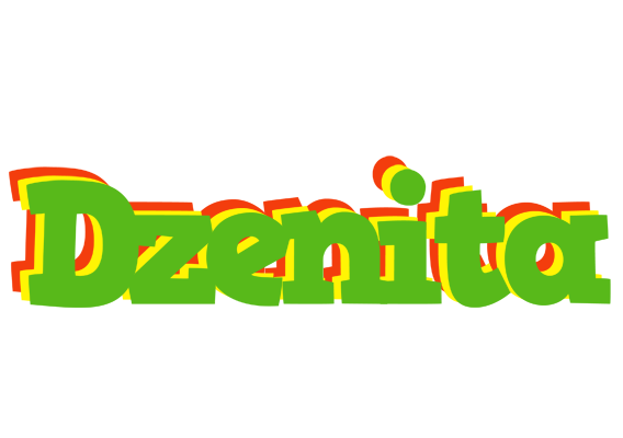 Dzenita crocodile logo