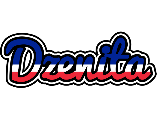 Dzenita france logo