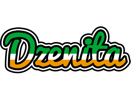 Dzenita ireland logo