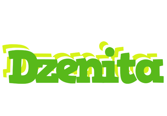 Dzenita picnic logo