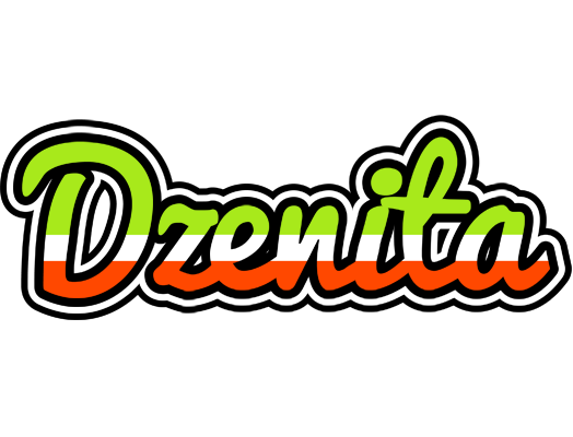 Dzenita superfun logo