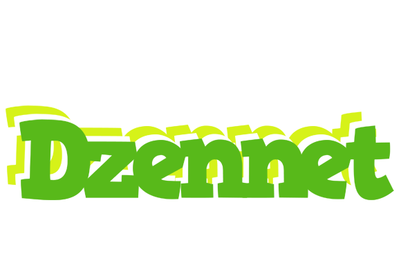 Dzennet picnic logo