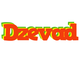 Dzevad bbq logo