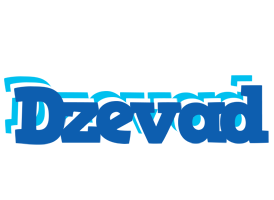 Dzevad business logo