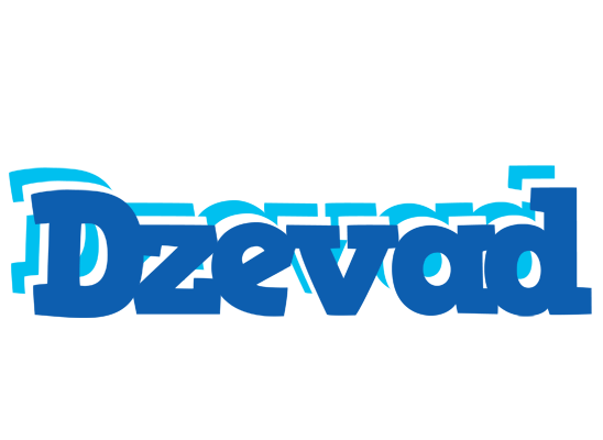 Dzevad business logo