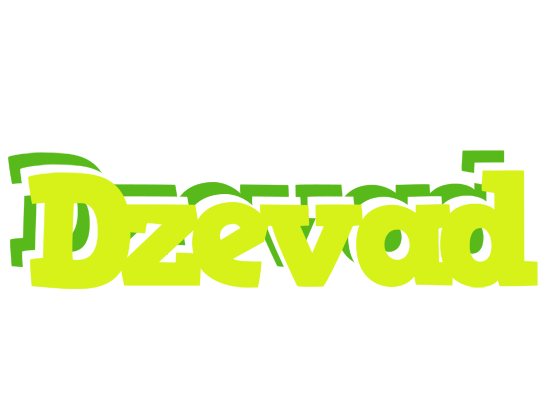 Dzevad citrus logo