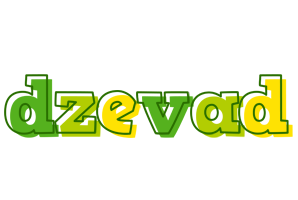 Dzevad juice logo