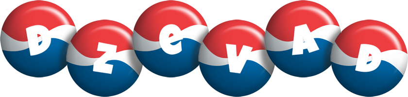 Dzevad paris logo