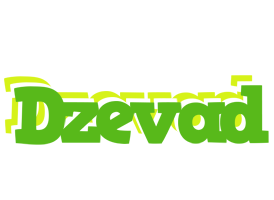 Dzevad picnic logo