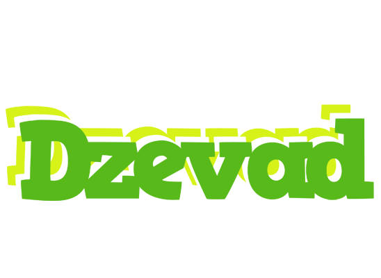 Dzevad picnic logo