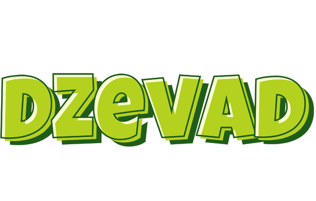 Dzevad summer logo